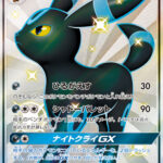 ブラッキーGX (SSR) #229/150