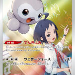 ポワルン (CHR) #211/184