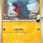 シロナのフカマル () #376/742